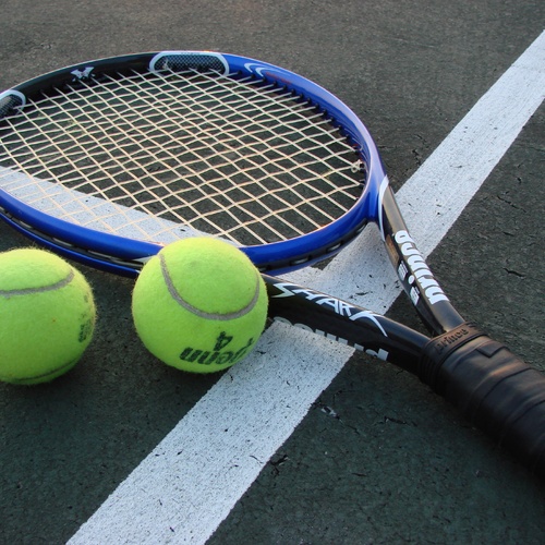OWLTC Newsletter - July 2026