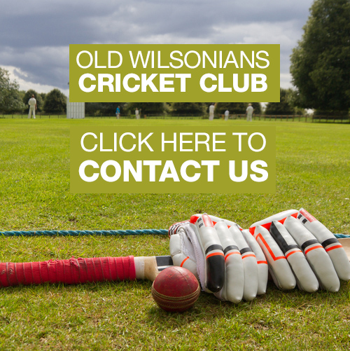 Cricket